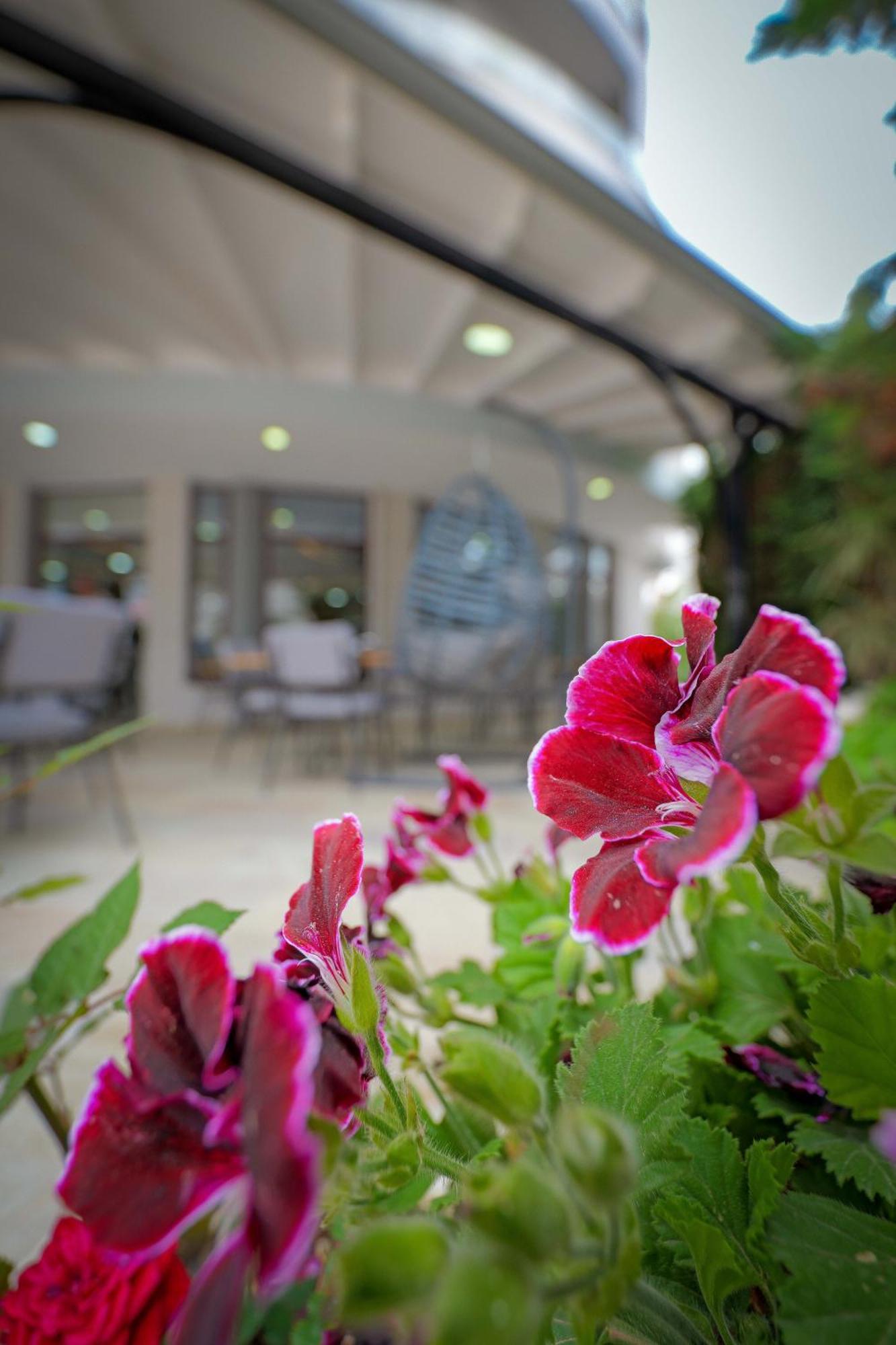 קסאמיל Hotel Kroi מראה חיצוני תמונה